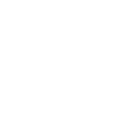 Ícone de idioma